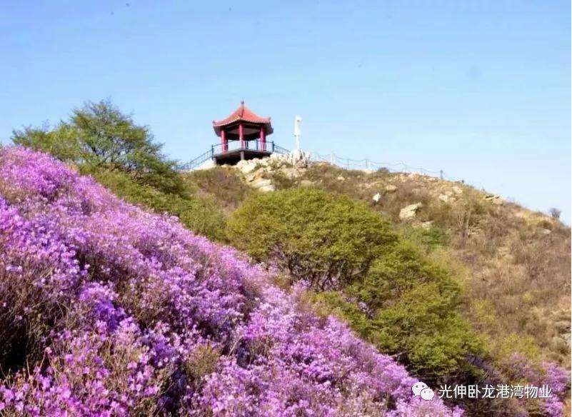 j9集团官网·(中国区)官方直营平台