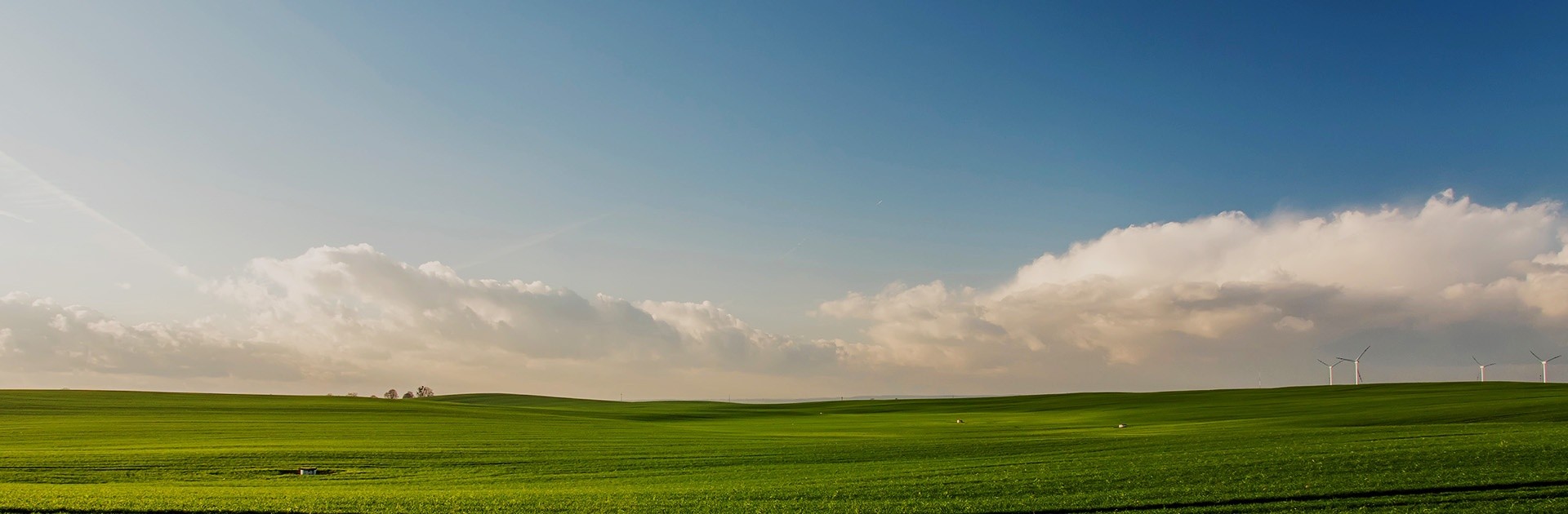 SBOBET利记·(中国集团)官方网站