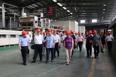 2018年9月12日，全国政协常委、提案委员会副主任郭庚茂、支树平携带调研组光临公司发展调研