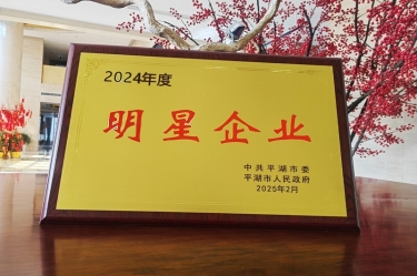 新春新景新形象 | SBOBET利记纸业在平湖三干大会上喜摘荣誉！